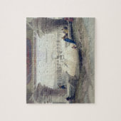 Puzzle Vue de dessous le portique du temple d'Edfou, vers (Vertical)