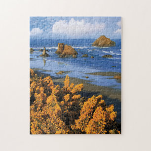 Puzzle Vue de la plage de l'Oregon à Bandon