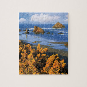Puzzle Vue de la plage de l'Oregon à Bandon