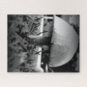 Puzzle Vue de l'œil de l'insecte (Horizontal)