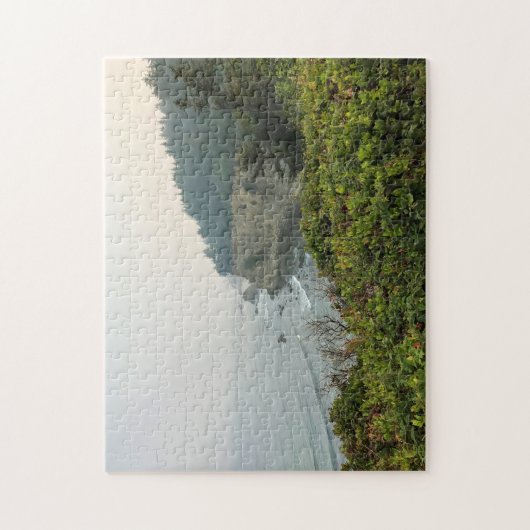 Puzzle Vue de Simpson Reef Overlook, Côte de l'Oregon (Vertical)