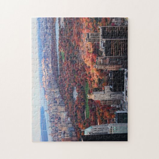 Puzzle Vue d'en haut : Automne à Central Park 01 (Vertical)