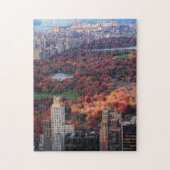 Puzzle Vue d'en haut : Automne dans Central Park 01 (Vertical)