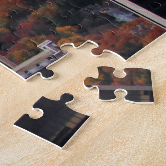 Puzzle Vue d'en haut : Automne dans Central Park 01 (Côté)
