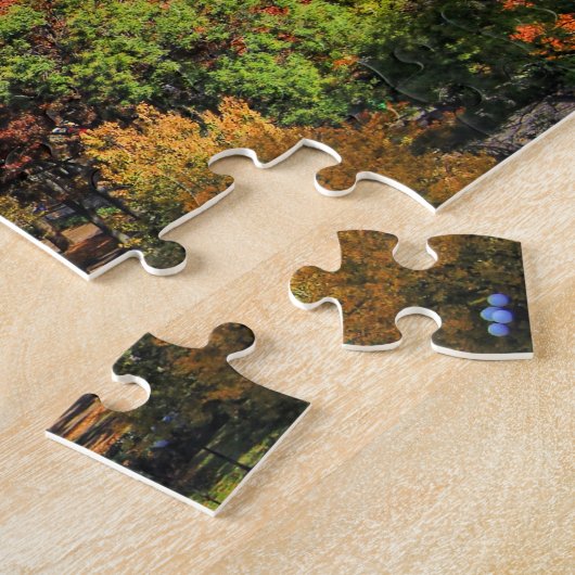 Puzzle Vue d'en haut : Automne dans Union Carré Park NYC (Côté)