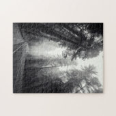 Puzzle Vue des arbres de séquoia dans la forêt (Horizontal)