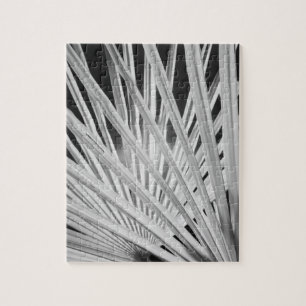 Puzzle Vue en noir et blanc de frondes de palmiers
