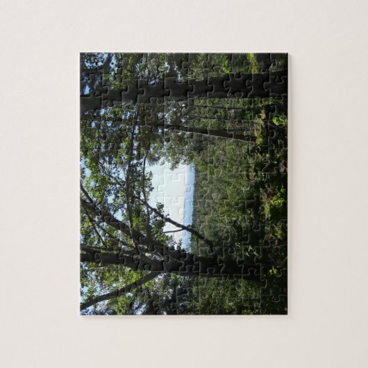 Puzzle Vue estivale du parc national Acadia (Vertical)