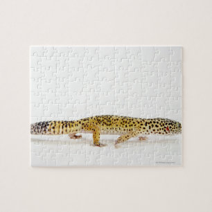 Puzzle Vue latérale du léopard gecko lizard