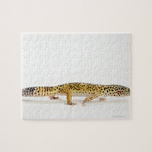 Puzzle Vue latérale du léopard gecko lizard (Horizontal)