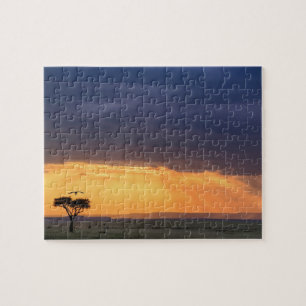 Puzzle Vue panoramique d'un vautour et d'un acacia