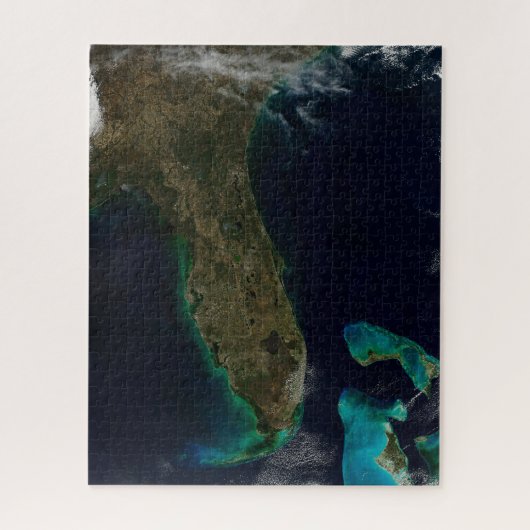 Puzzle Vue Satellite Sur La Floride. (Vertical)