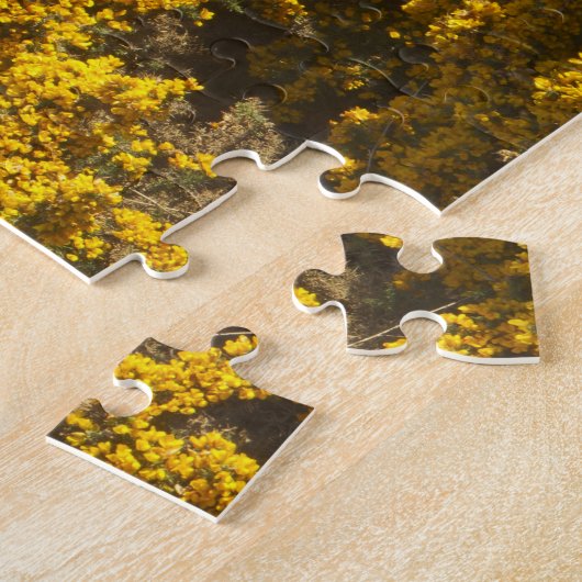 Puzzle Vue sur le littoral, Bandon, Oregon (Côté)