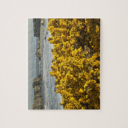 Puzzle Vue sur le littoral, Bandon, Oregon (Vertical)