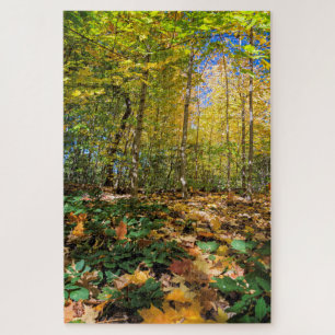 Puzzle Vue sur le parc central d'automne