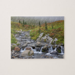 Puzzle WA, Parc national du mont Rainier, ruisseau Edith