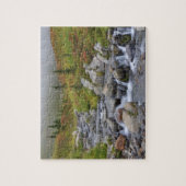 Puzzle WA, Parc national du Mont-Rainier, ruisseau Edith (Vertical)