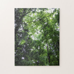 Puzzle Walking in the Forest, Chester, Caroline du Sud Ca