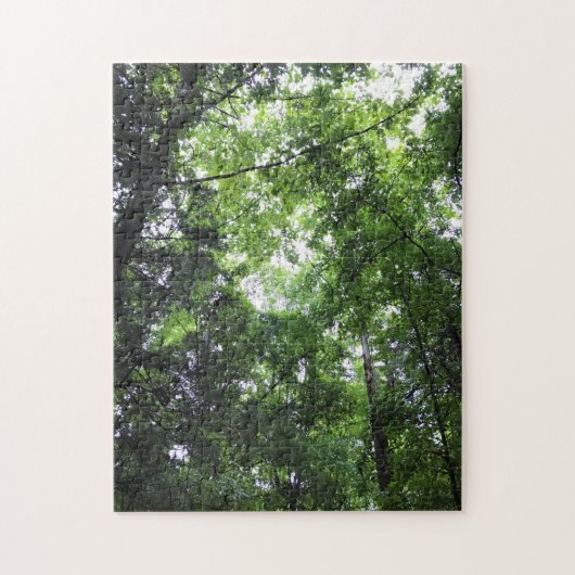Puzzle Walking in the Forest, Chester, Caroline du Sud Ca (Vertical)