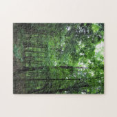 Puzzle Walking in the Forest, Chester, Caroline du Sud Ca (Horizontal)