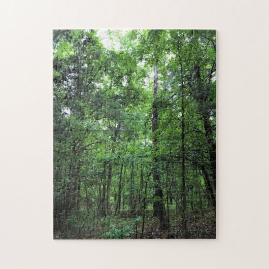 Puzzle Walking in the Forest, Chester, Caroline du Sud Ca (Vertical)
