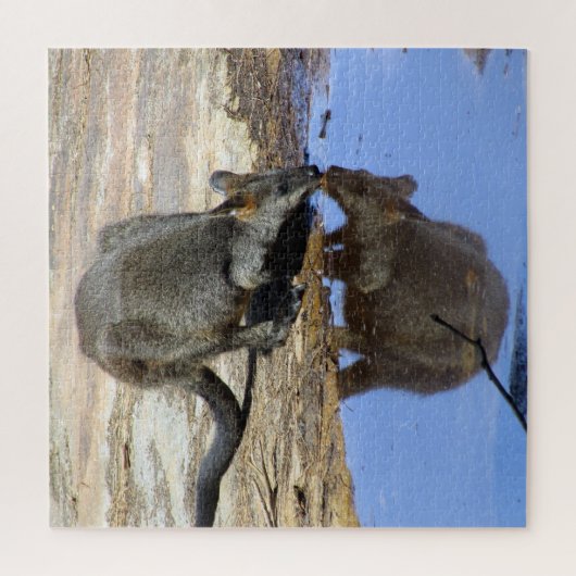 Puzzle wallaby (Vertical)