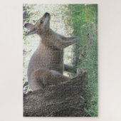 Puzzle wallaby (Vertical)