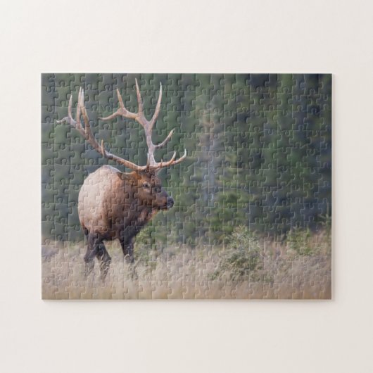 Puzzle Wapiti des montagnes Rocheuses (Horizontal)
