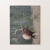 Puzzle Wapiti des montagnes Rocheuses (Vertical)