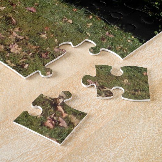 Puzzle Washington DC Monument et Fall Trees (Côté)