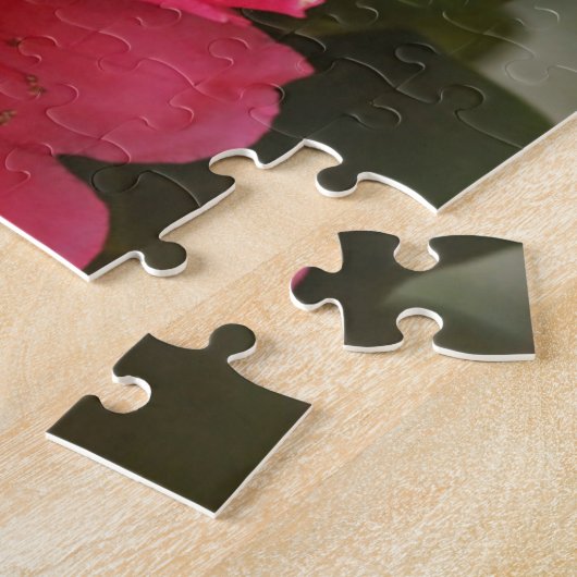 Puzzle Washington, Seattle, Puget Sound, Discovery Park (Côté)