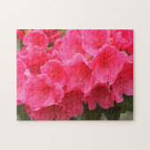 Puzzle Washington, Seattle, Puget Sound, Discovery Park (Horizontal)