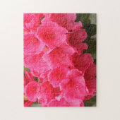 Puzzle Washington, Seattle, Puget Sound, Discovery Park (Vertical)