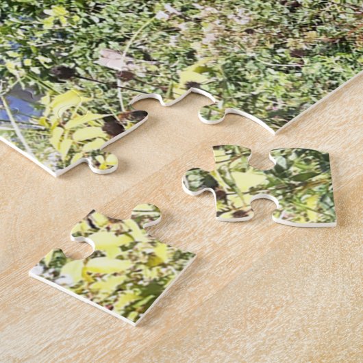 Puzzle Water Feature Central Park New York (Côté)