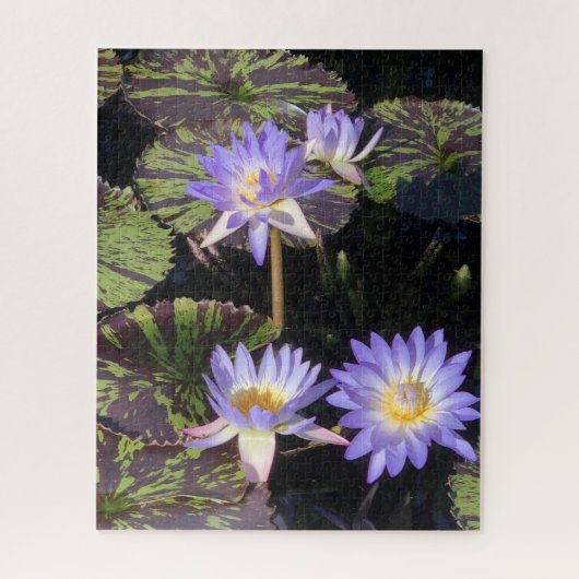 Puzzle Water Lilies (Vertical)