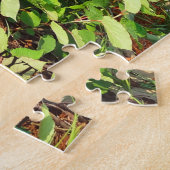 Puzzle Waterfront Eatery (Côté)