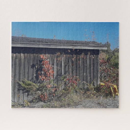 Puzzle Weathered Shed with Encroaching Green (Horizontal)