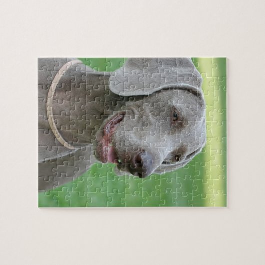Puzzle Weimaraner (Horizontal)
