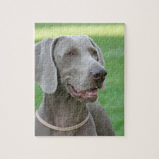 Puzzle Weimaraner (Vertical)