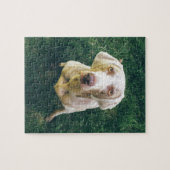 Puzzle Weimaraner intense (Horizontal)