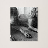 Puzzle Weimaraners (Vertical)
