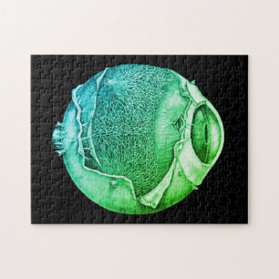 Puzzle Weird Modern Vintage Eyeball Detail Drawing Green