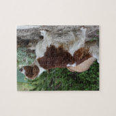 Puzzle Welsh_Springer_Spaniel_full.png (Horizontal)