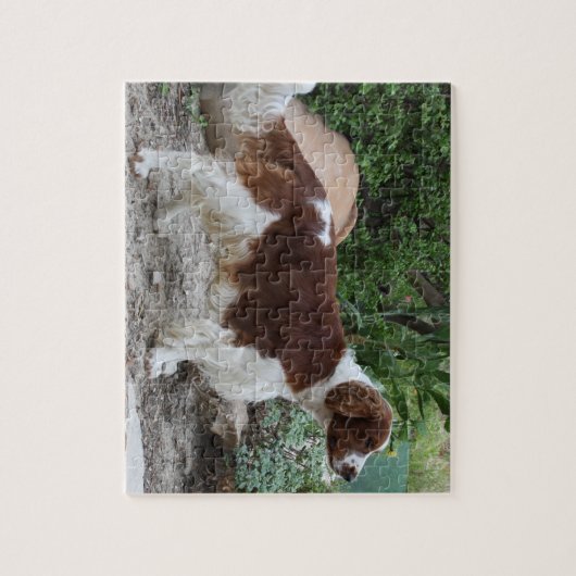 Puzzle Welsh_Springer_Spaniel_full.png (Vertical)