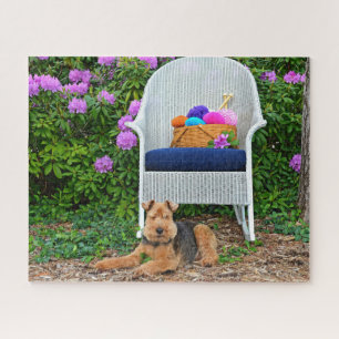 Puzzle Welsh Terrier Dans Garden
