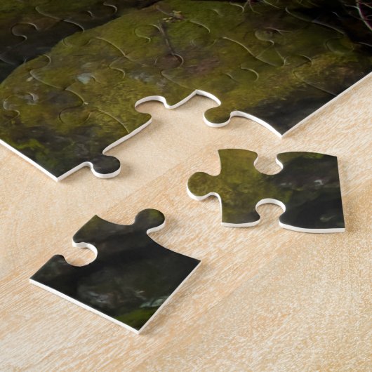 Puzzle West Fork Foss River Washington (Côté)