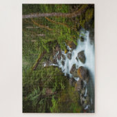 Puzzle West Fork Foss River Washington (Vertical)