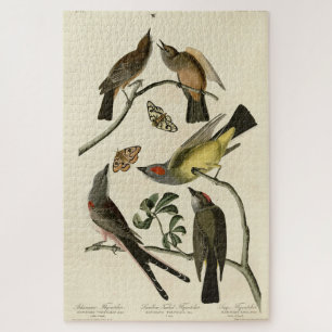 Puzzle Western Kingbird, etc - Audubon's Birds of America
