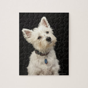 Puzzle Westie (West Highland terrier) avec col