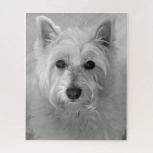 Puzzle Westie (West Highland White Terrier) Chien
